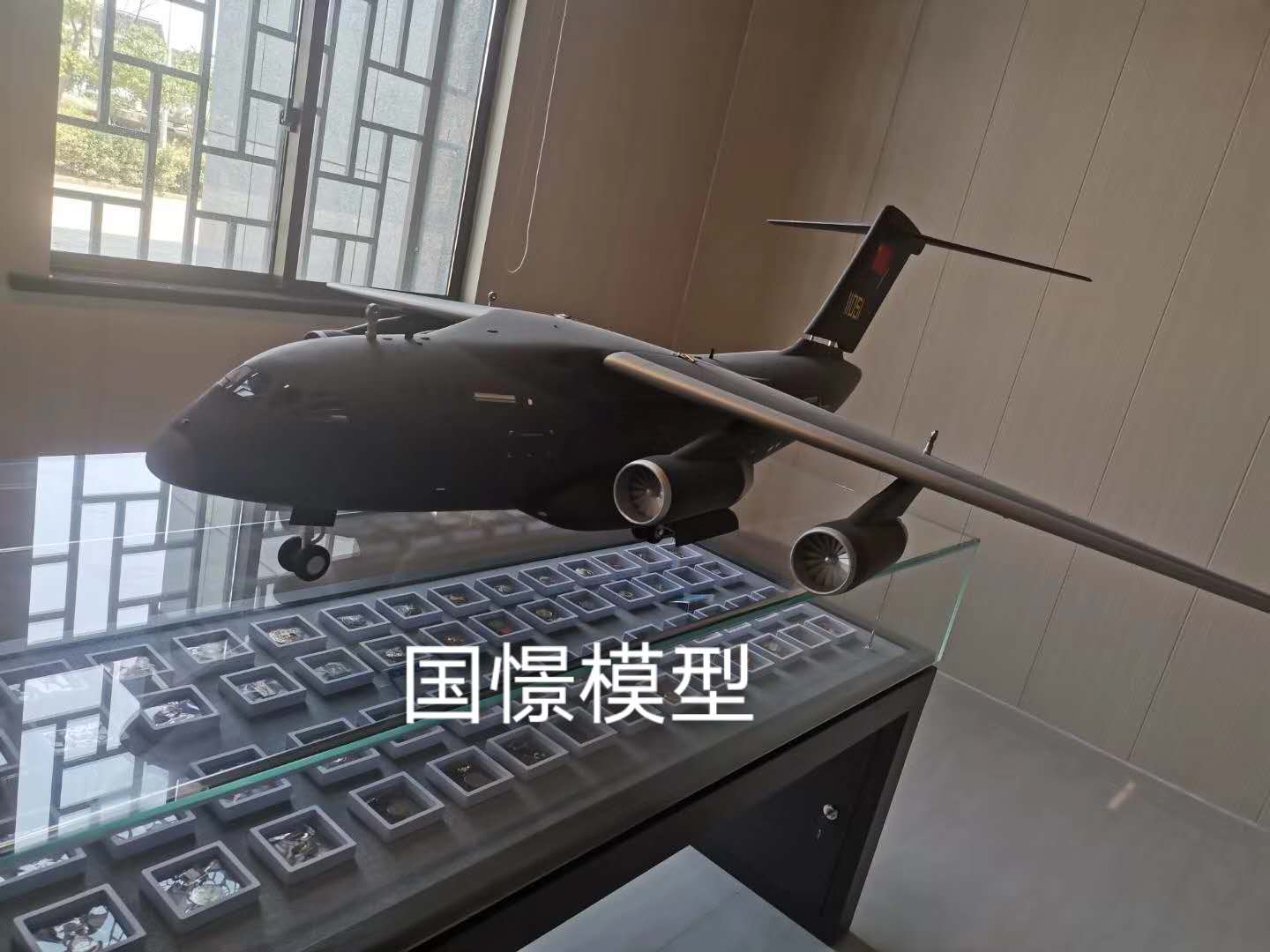 思南县飞机模型